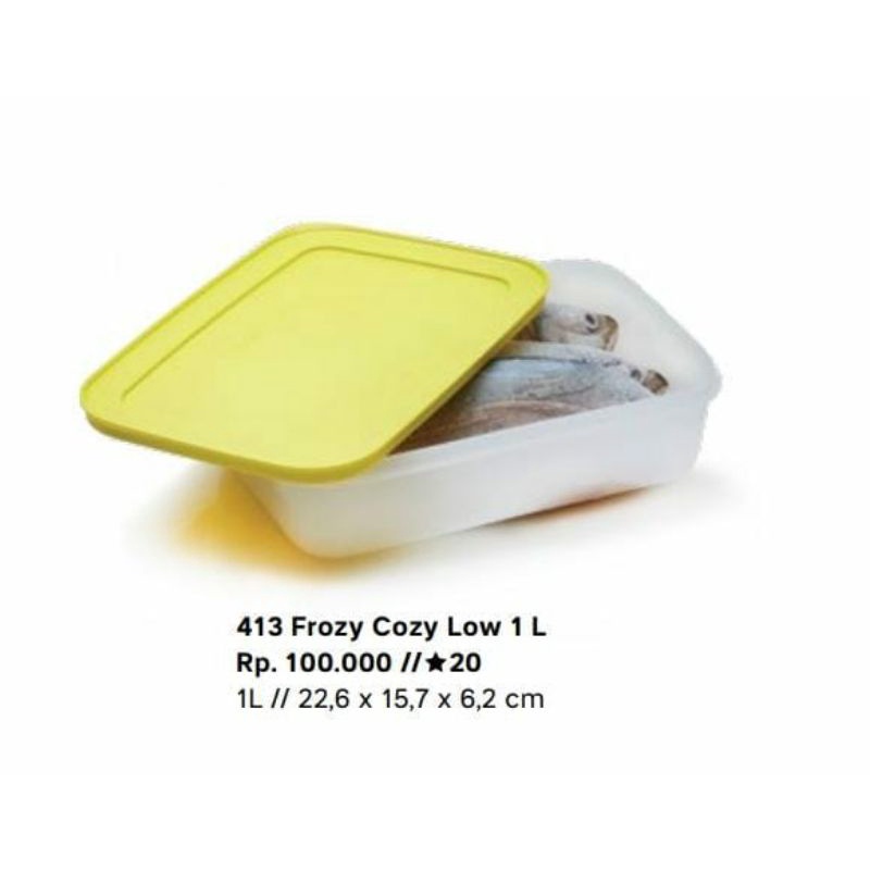 FROZY COZY