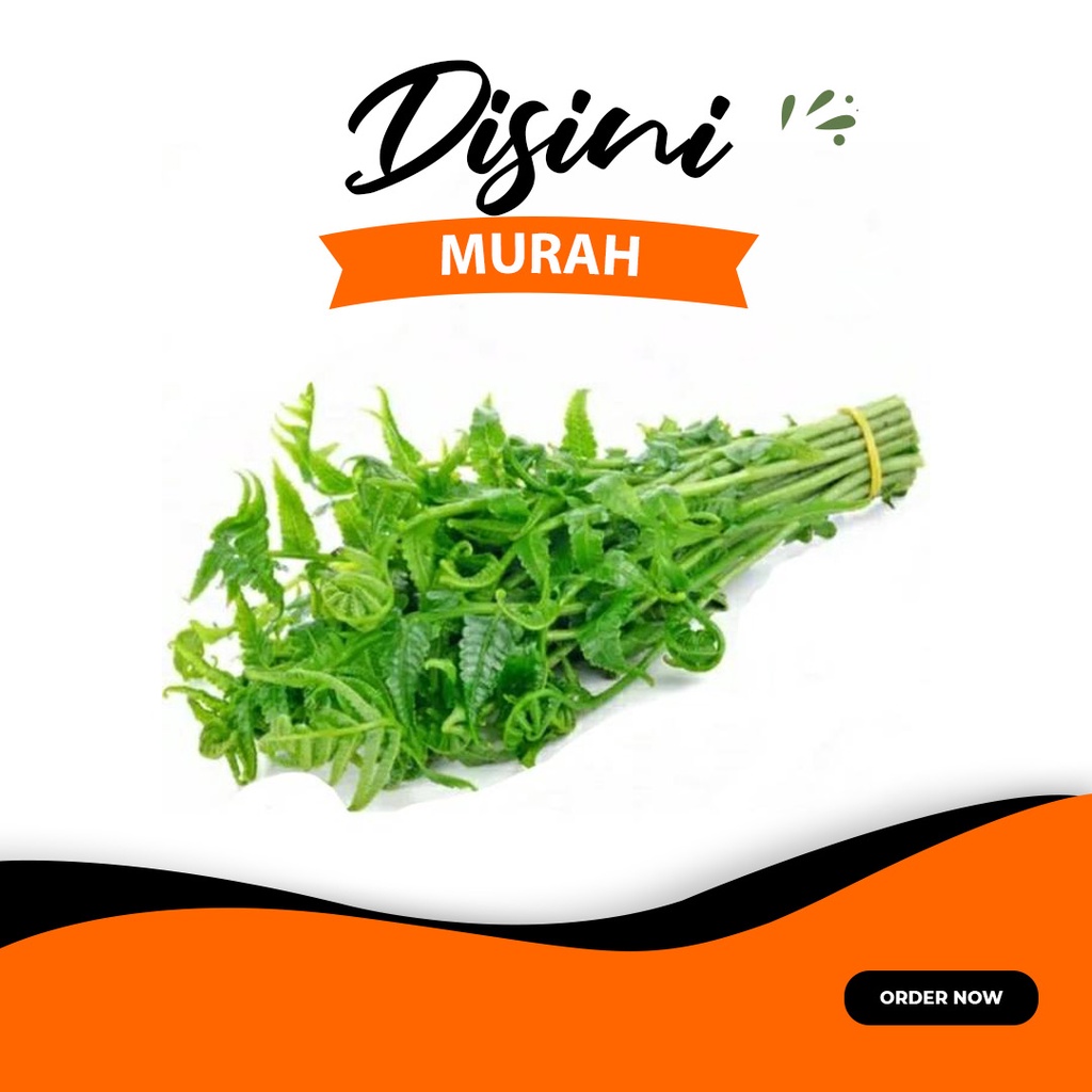 

Daun pakis per ikat
