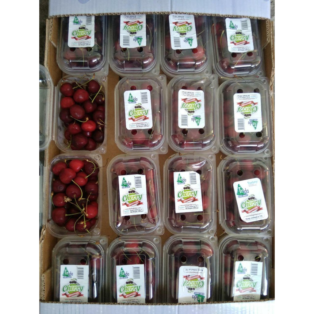 Buah cherry Turkey / per pack