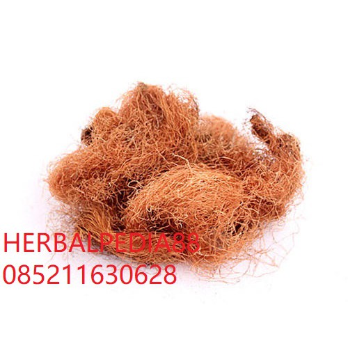 

Yu Mi Xu Zea mays L 玉米须100 gram