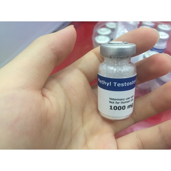 

Jual Methyl Testosterone Jantanisasi Ikan