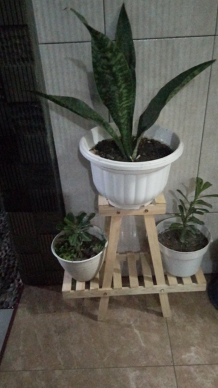 Pegangan Tutup Panci Kayu Anti Leleh