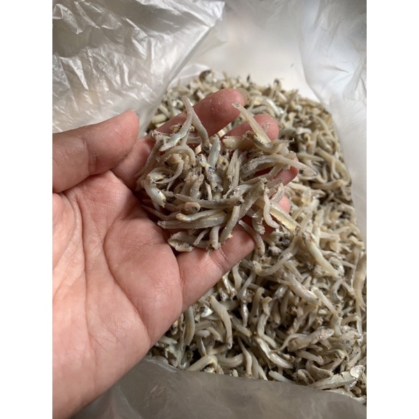 

Teri buntio / buntiau