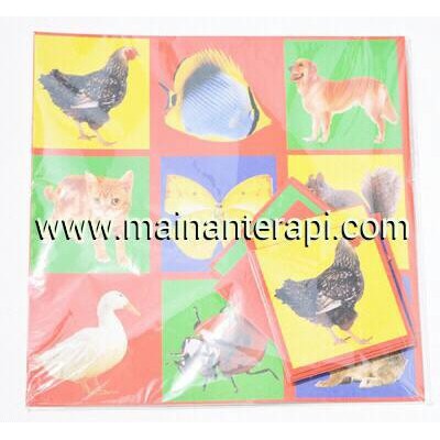 Mainan Terapi IQ DEV Lotto Board Binatang Kartu Terapi Wicara ABK