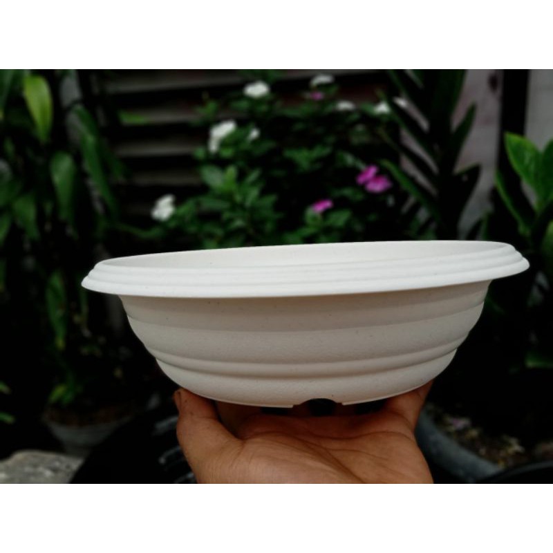 Pot bonsai plastik pot bonsai hitam putih pot bonsai azalia 25 pot bonsai kamboja bonsai beringin