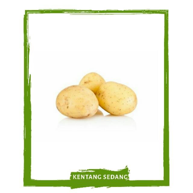 

Kentang / Kentang Besar / Kentang Kecil / Kentang Rendang / Sayur Sayuran Segar PO Mallahrizwa