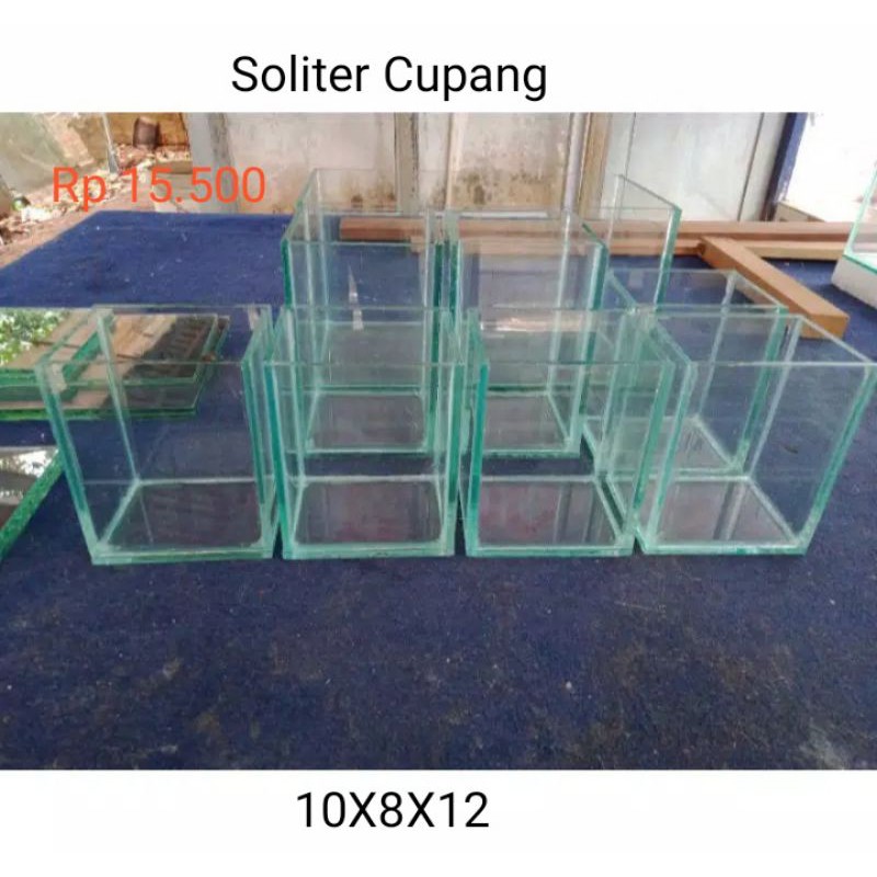 

AquariumSolitetCupang