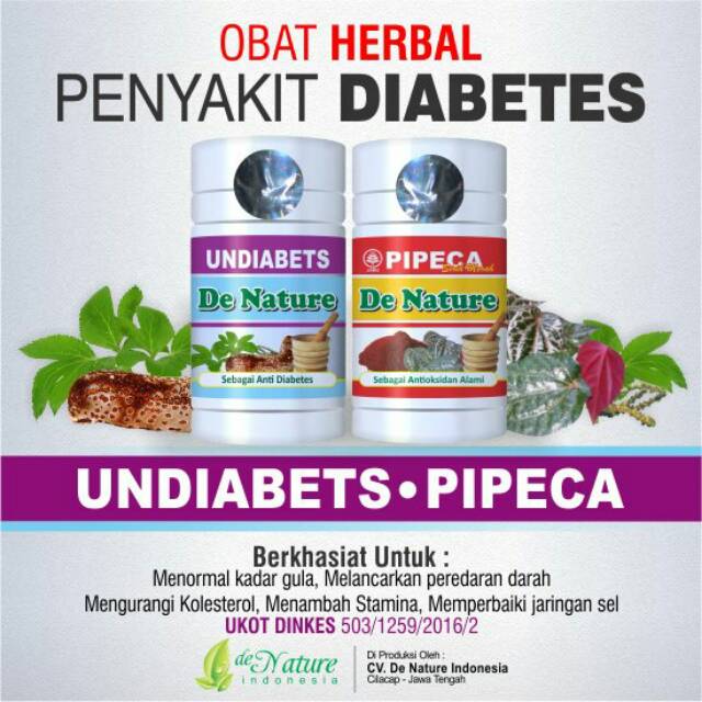 

Obat Herbal Diabetes Undibet Pipeca De Nature