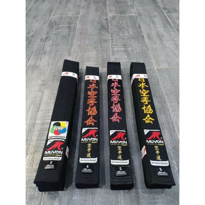 sabuk hitam karate