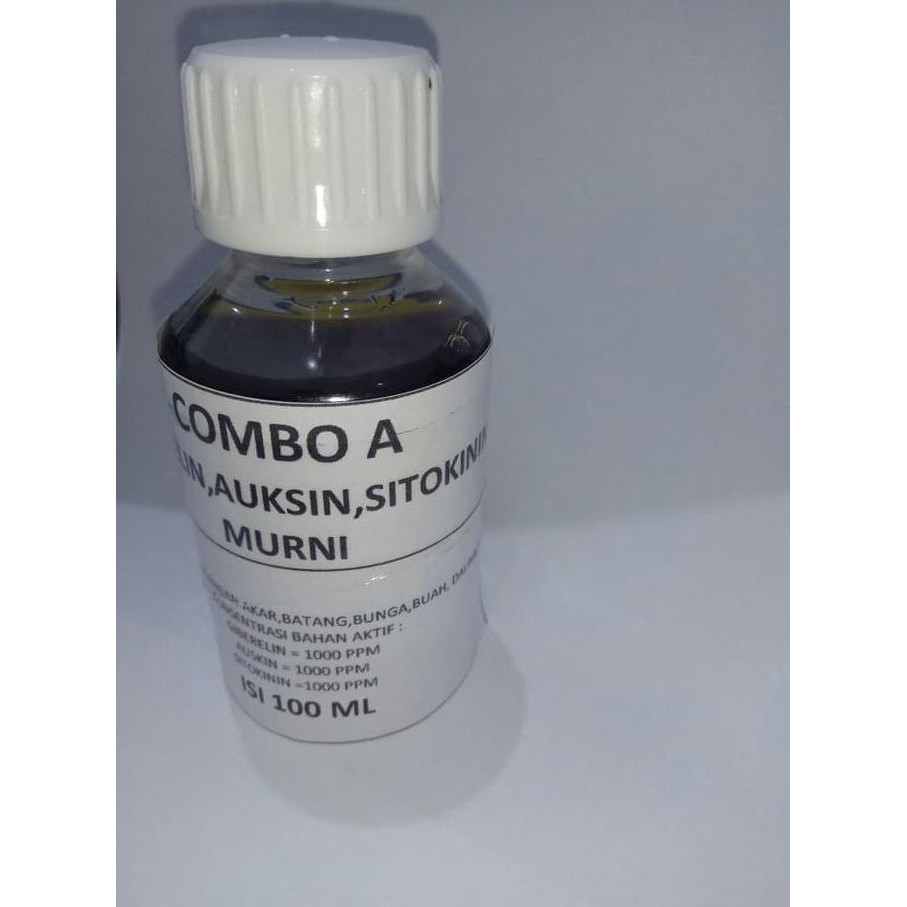 Hormon Tanaman Giberelin Auksin Sitokinin