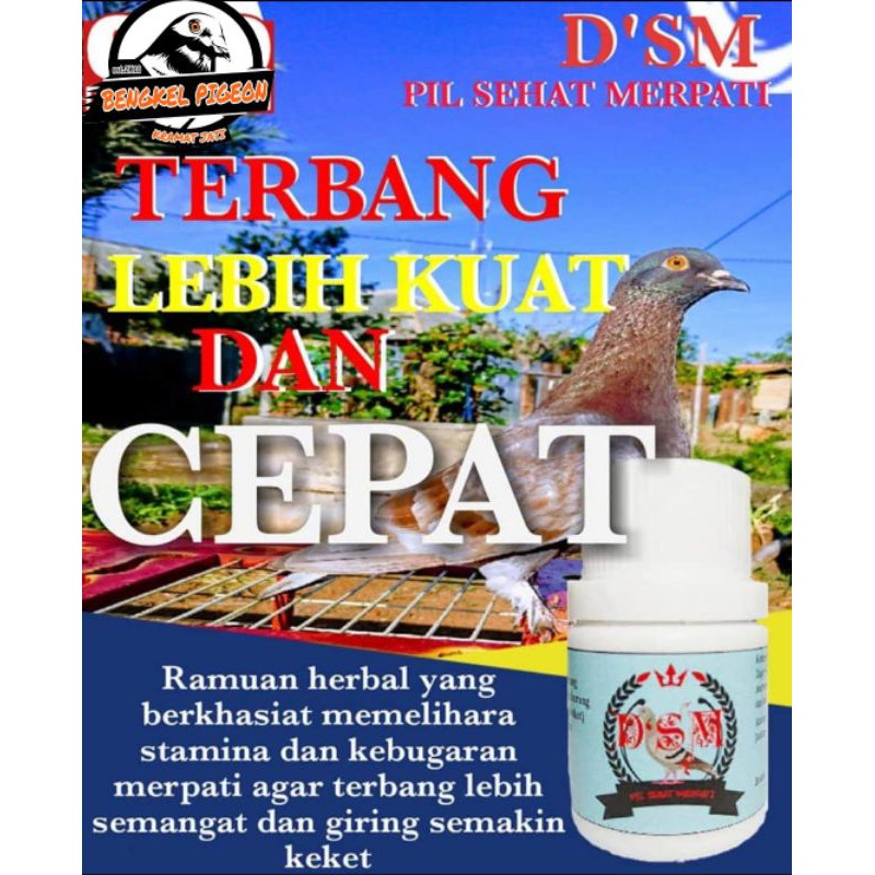 jamu suplemen vitamin doping pil sehat merpati dsm khusus burung dara merpati lomba kolongan