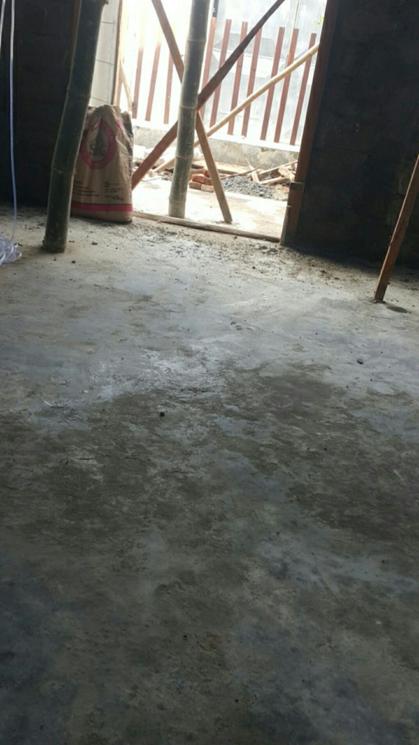 Lavender Hidcote Blue 10 Biji (benih Biji Bibit Tanaman Bunga)