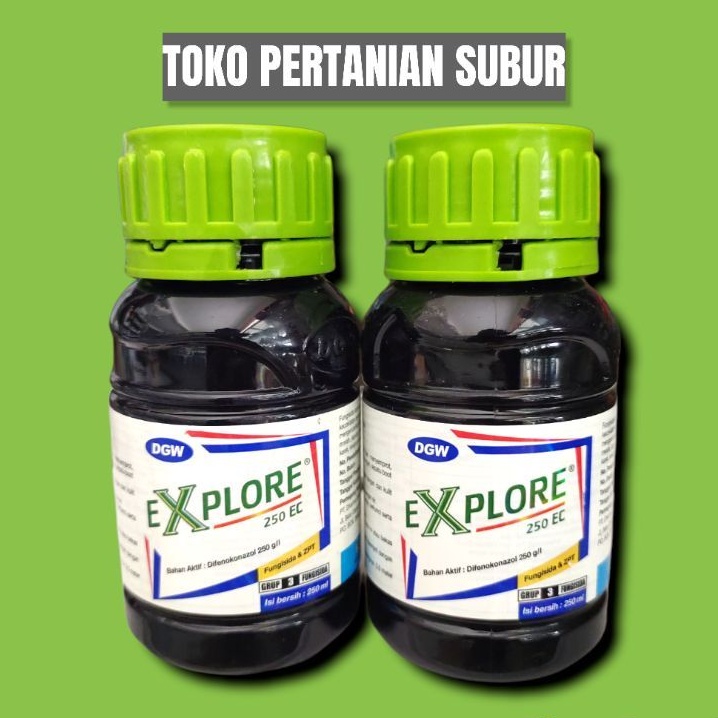 DGW EXPLORE 250 EC - 250 ML