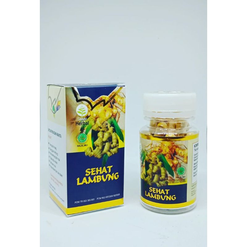 

obat asam lambung, maag, GERD sehat lambung