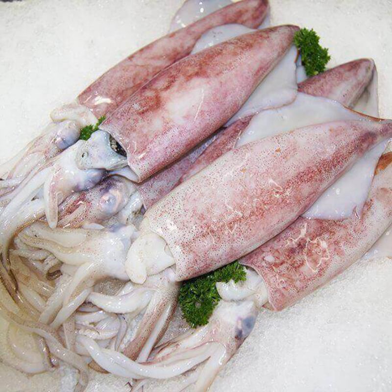 

Cumi Size Kecil Fresh 1kg