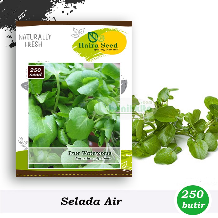 Benih-Bibit Selada Air-True Watercress (Haira Seed)