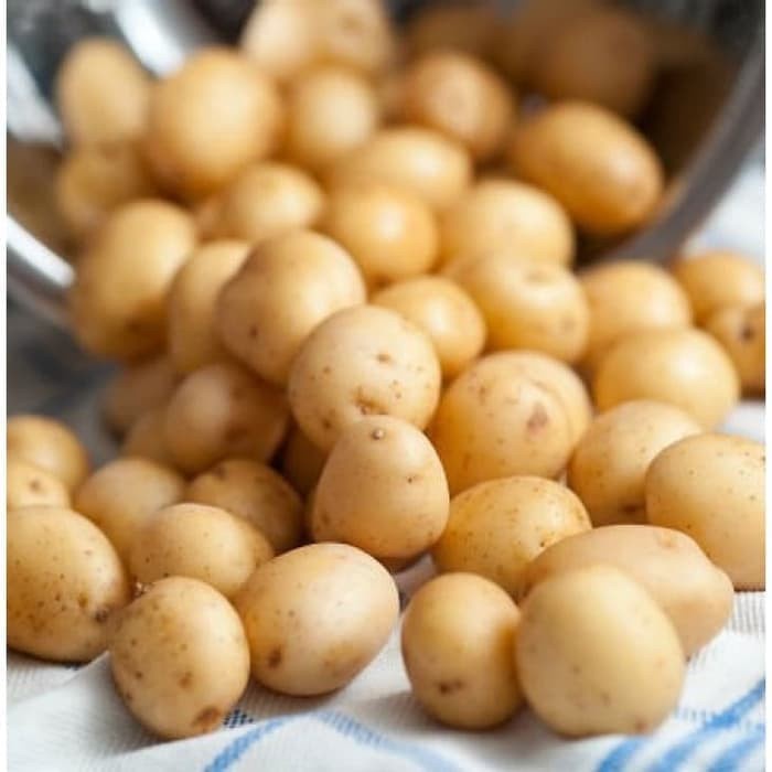 

Kentang Kecil Baby Potato kentang Rendang 500gr Fresh