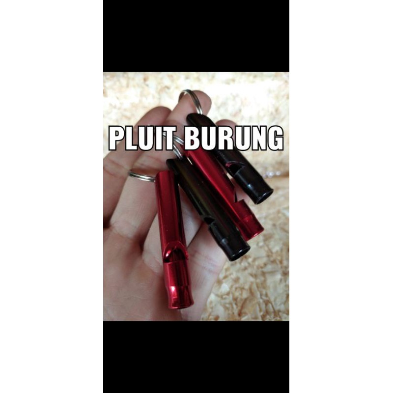 PLUIT BURUNG PANGGILAN