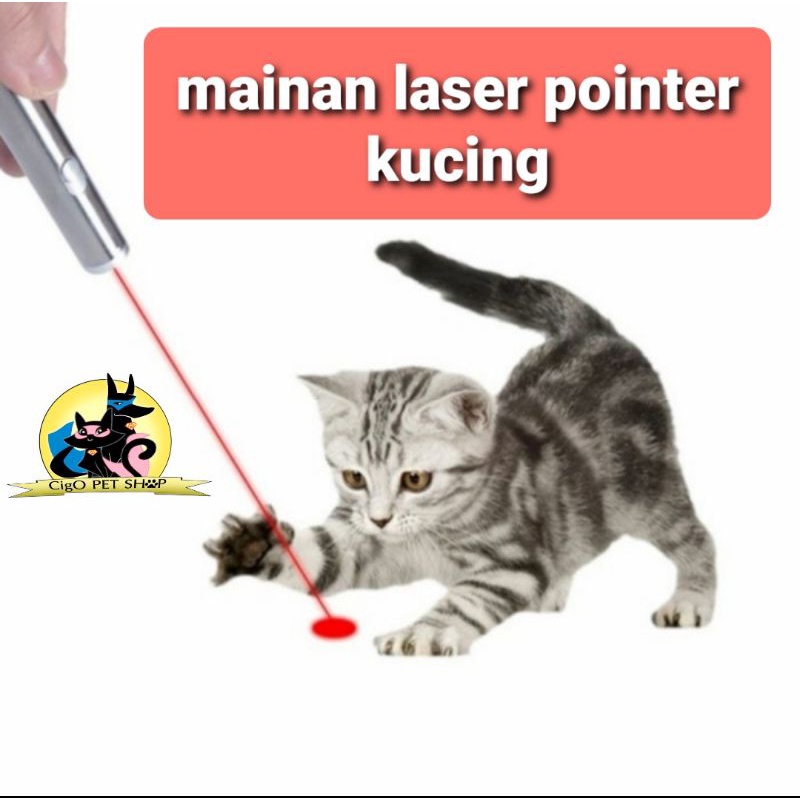 Mainan kucing laser pointer anak hewan led interaktif