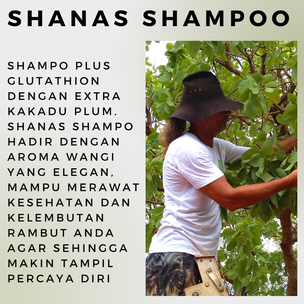 Shampo Shanas Nasa 175 Ml Original Pembersih Kutu Rambut Sampo Anti Kutu Rambut Anak Dewasa Shampoo Anti Ketombe Shampo Untuk Rambut Rontok Parah Paling Ampuh