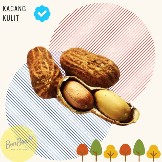 

Kacang Kulit Sangrai 500 Gram / Kacang Tanah Peanuts