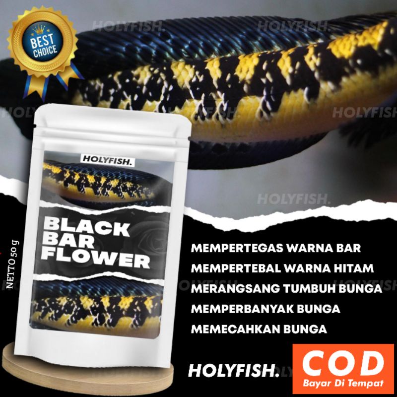 Pelet Bunga Ikan Channa Maru Yellow Sentarum Black Bar Flower Marulioides Asiatica White Spot Aurant