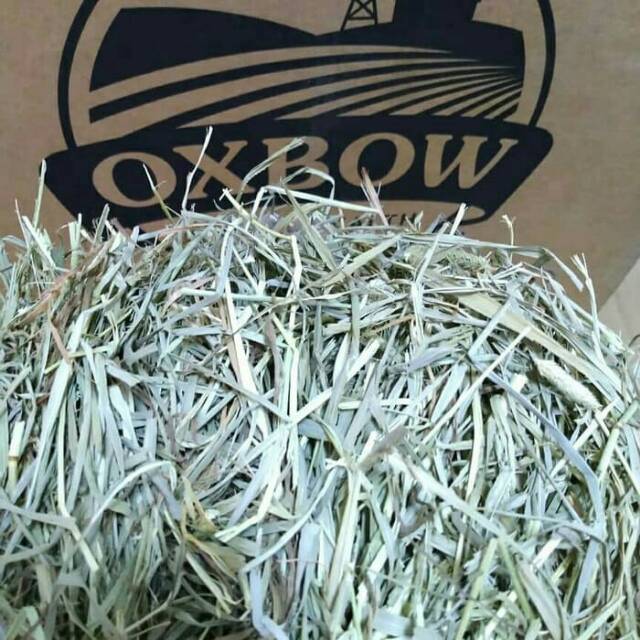 Oxbow WESTERN TIMOTHY Hay , Rumput , Makanan Kelinci Cavy , Repack 1kg