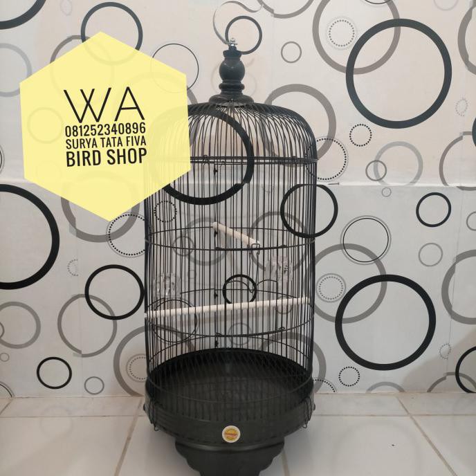 Buruan Serbu] Sangkar Octagon Tebok Kaki Sangkar Love Bird