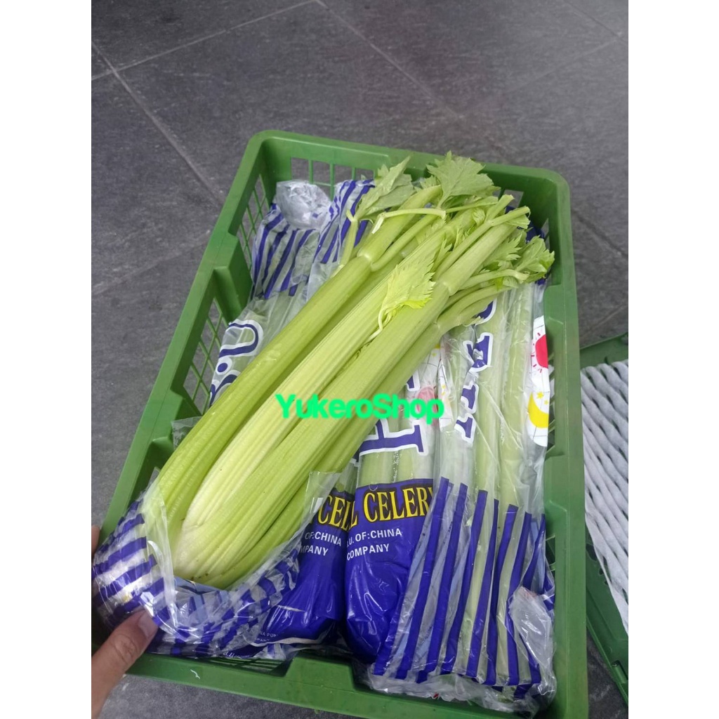 

Celery Stick Import / Seledri Impor Fresh per 10 KG