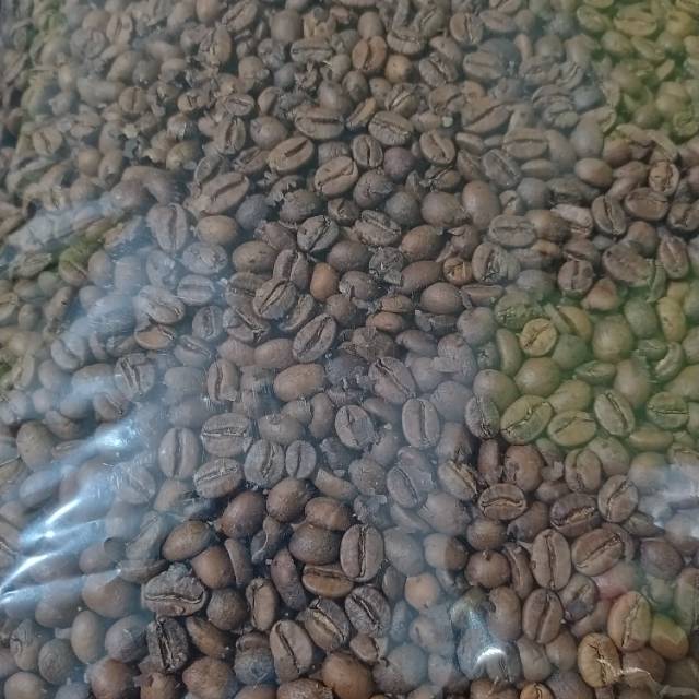 

Biji kopi arabika roasted bean natural