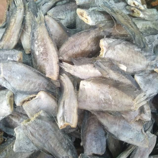 

Ikan Sapek Siam