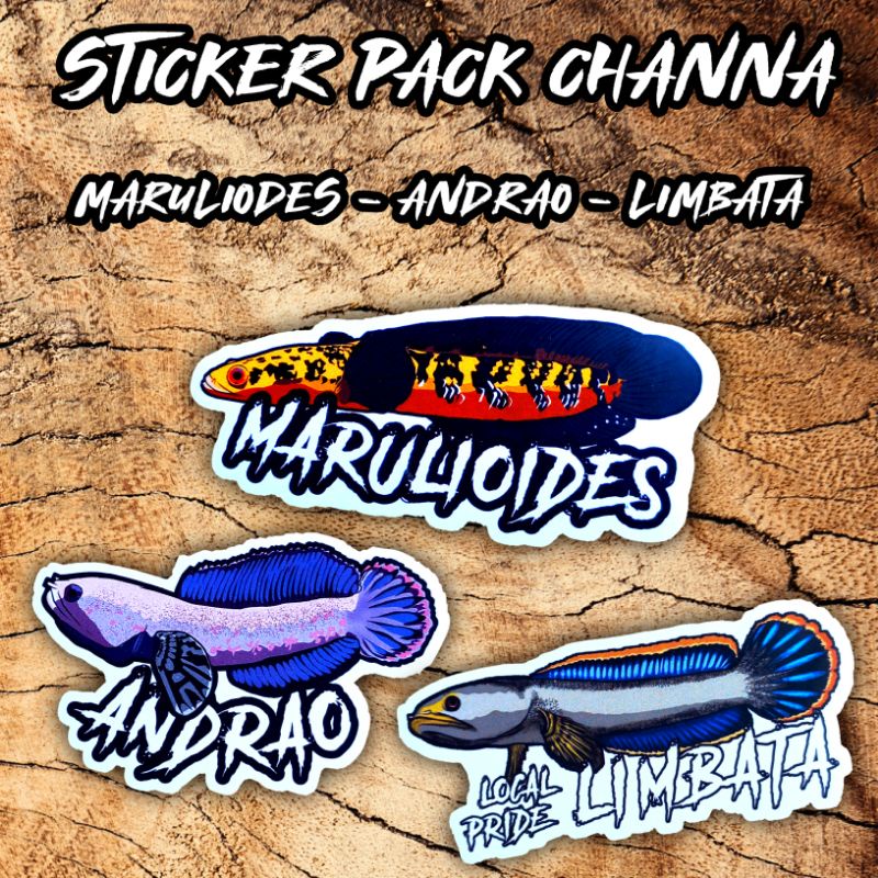 

Stiker pack ikan channa 3pcs (maru, andrao, limbata) BISA COD