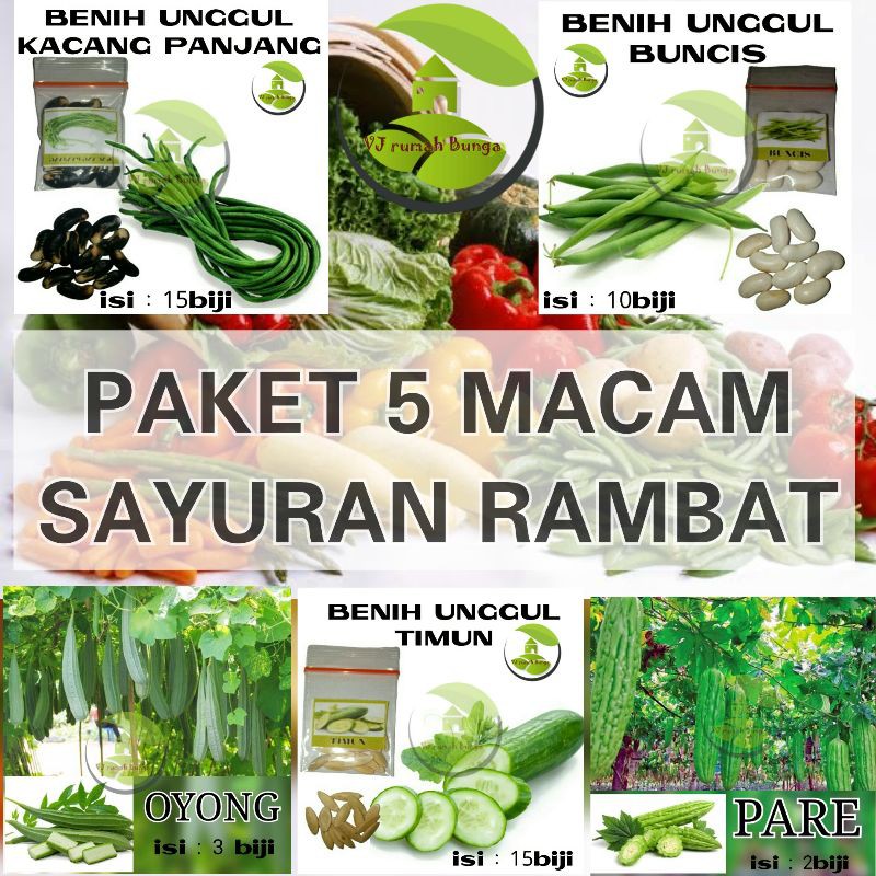 Paket Benih 5 Macam Sayuran Merambat Benih Bibit Buncis Kacang Panjang Pare Timun