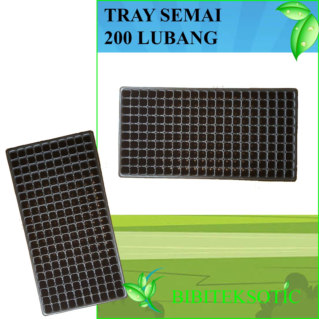 Tray Semai 200 Lubang