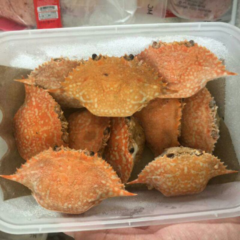 

kepiting bunting Isi 6pcs