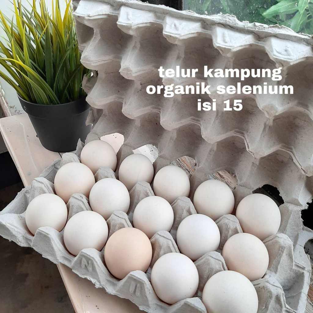 

Telur Ayam Kampung Organik Selenium Isi 15 Butir