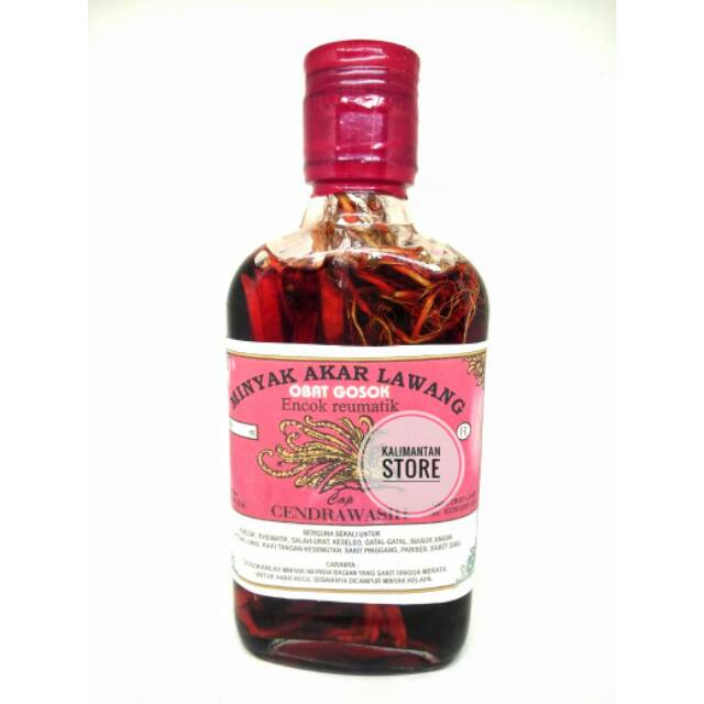 Minyak Urut Akar Lawang Cap Cendrawasih, Obat Gosok Pijat, Obat Nyeri Otot, Nyeri Sendi, Keseleo