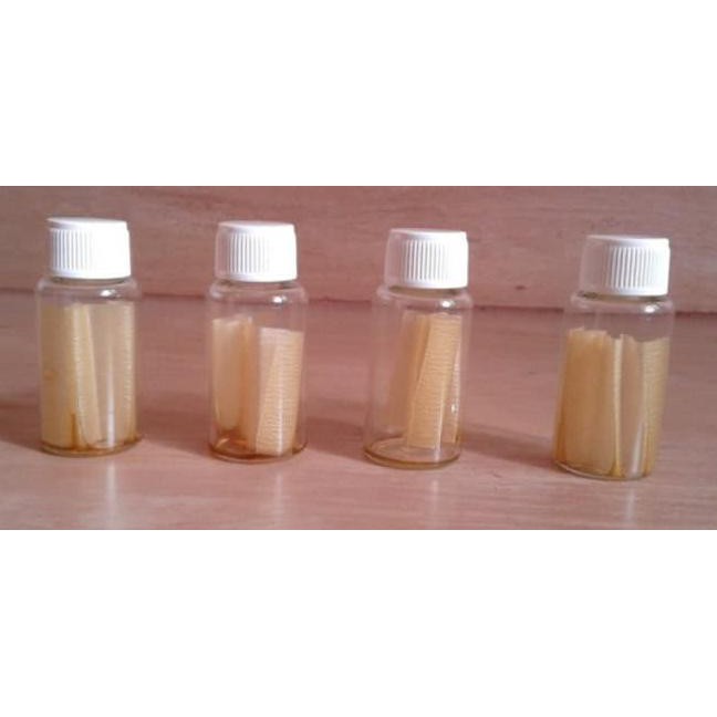 Best Seller Water Test Kit, Bakteri Patogen Test strip H2S, pkg/25 (u/test) Termurah