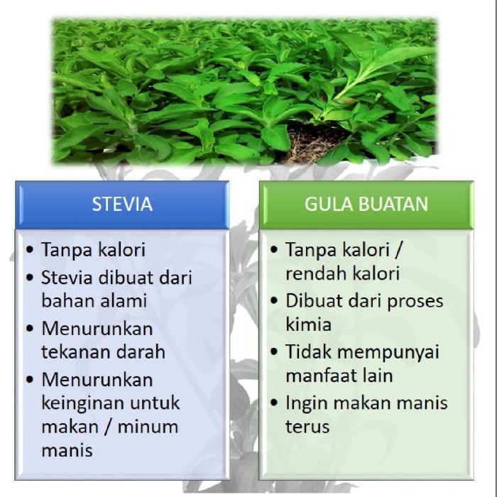 Gula Stevia Cair 250 ml gula stevia