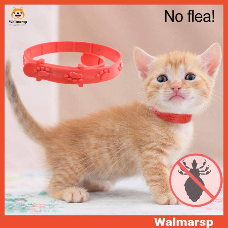 Kalung Kucing Anti Kutu Kucing Musang Anjing no flea