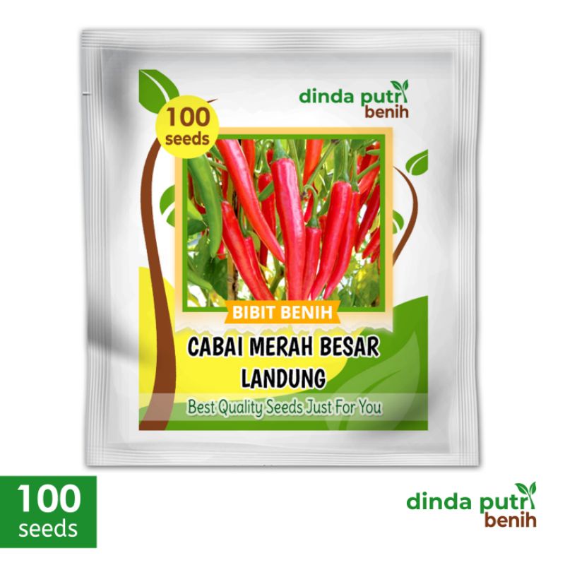 Benih Cabe Merah Besar Landung / isi benih 100 biji/ Bibit cabe merah besar super_benih sayuran