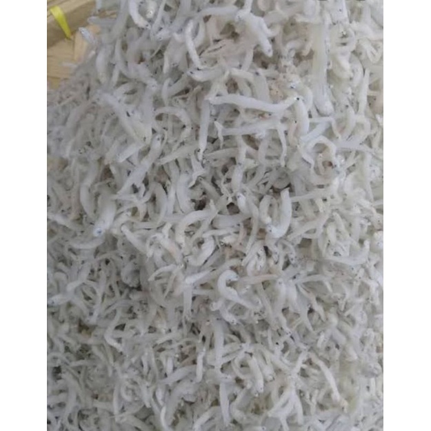 

Teri medan/teri nasi