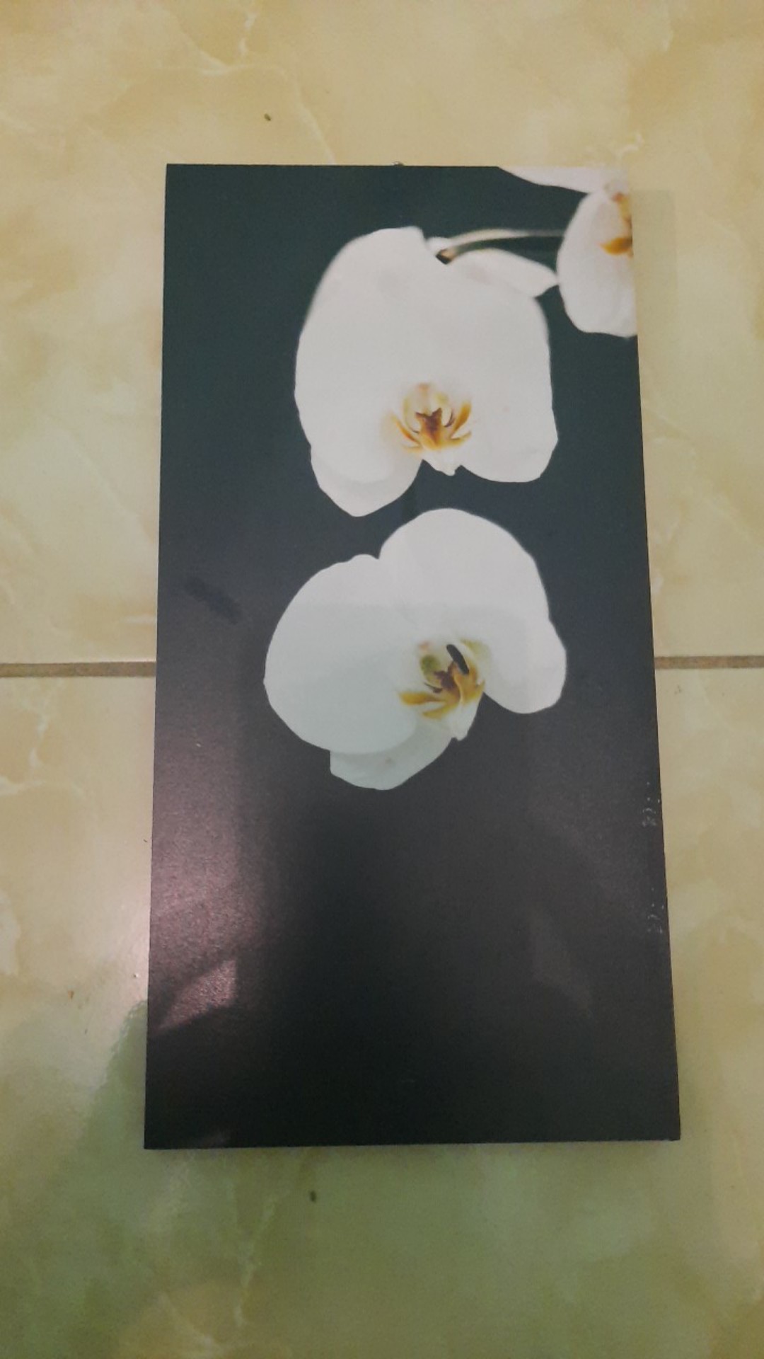 Wp Project Walldecor Hiasan Dinding Shabby Chic Bunga Anggrek