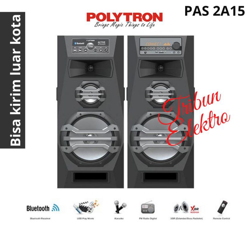 PAS 2A15 Speaker Polytron