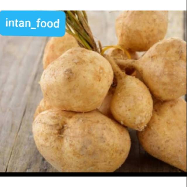 

Bengkoang fresh 1kg