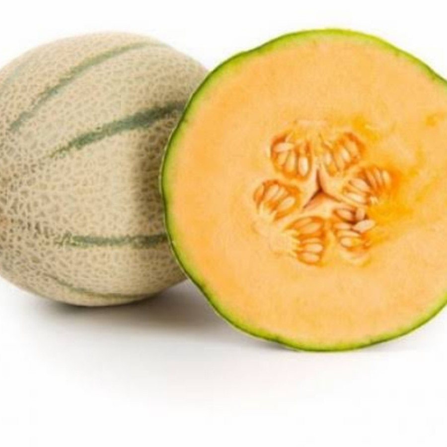 Benih melon RZ Rangipo - Japanese musk melon - 50 seeds kemasan repacking