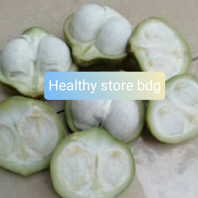 

Buah kemiri muda segar atau muncang 1 kg