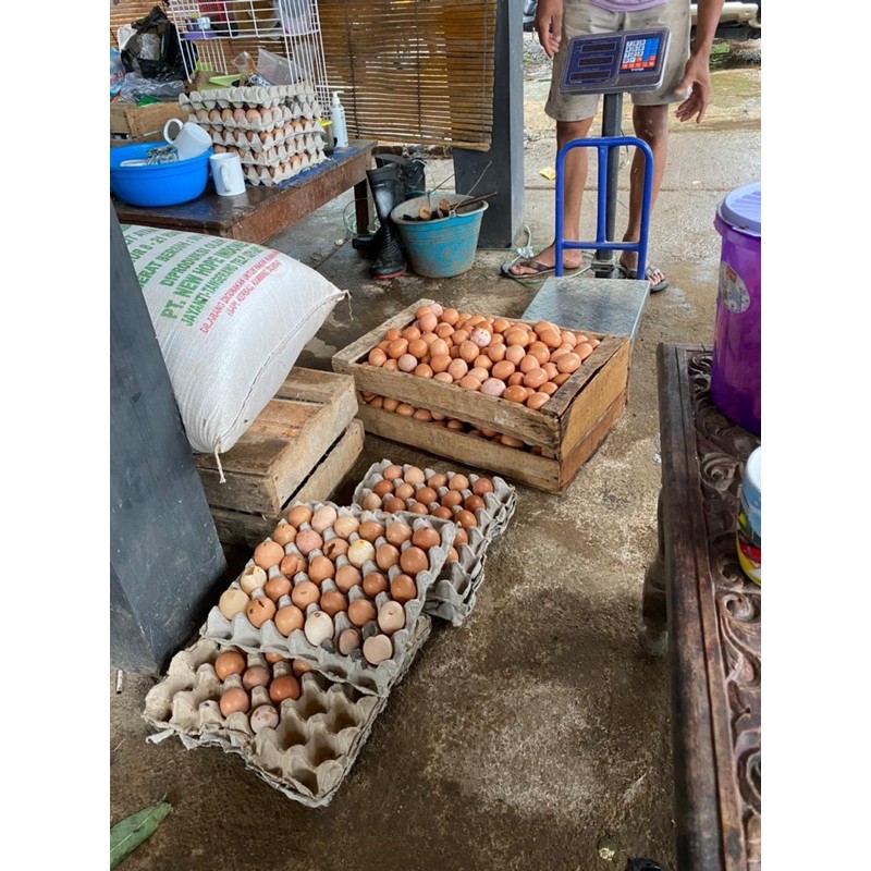 (COD)TELUR AYAM NEGERI FRESH TERNAK SENDIRI | 1KG -+ 18-20 BUTIR