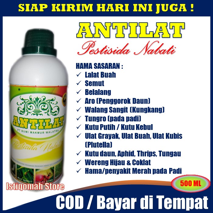 ANTILAT 500ml Pestisida Nabati Insektisida Pembasmi Tungro - Obat Semprot Hama Tungro - Pestisida Untuk Tungro - Insektisida Untuk Penyakit Tungro Pada Padi - Pestisida Tungro - Pestisida Untuk Penyakit Tungro pada Tanaman Padi PALING AMPUH TERLARIS