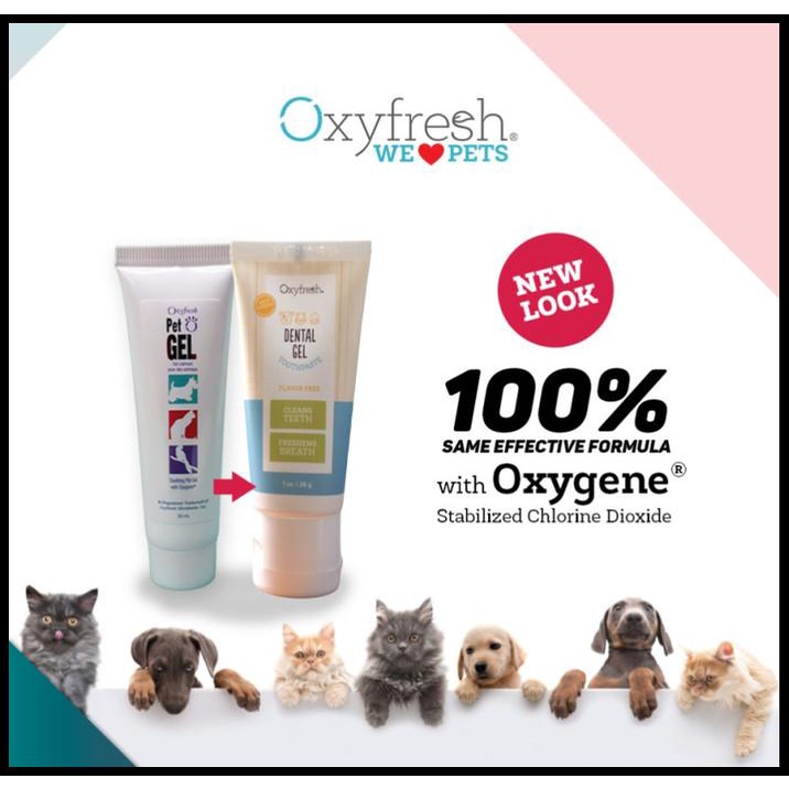 Obat Luka Pada Kucing Oxyfresh Pet Gel 30 Ml Termurah